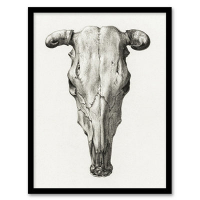 B&Q -  Jean Bernard Framed Wall Art Print Skull Of A Cow Pencil DrawingA3 Size