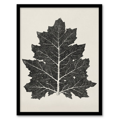 B&Q -  Owen Jones Framed Wall Art Print Vintage Black And White Leaf DrawingA3 Size