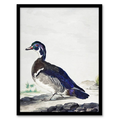 B&Q -  Aert Schouman Framed Wall Art Wood Duck Vintage Bird Oil PaintingA3 Size