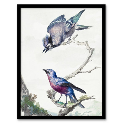 B&Q -  Aert Schouman Framed Wall Art Blue Jay And A Purple Breasted CotingaA3 Size