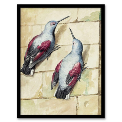 Artery8 Aert Schouman Framed Wall Art Two Wallcreepers Watercolour PaintingA3 Size from B&Q