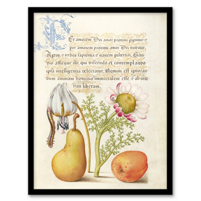 Artery8 Model Book Of Calligraphy Framed Wall Art Caterpillar Flowers And FruitA3 Size from B&Q