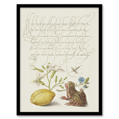 Artery8 Model Book Of Calligraphy Framed Wall Art Gillyflower Almond And FrogA3 Size from B&Q