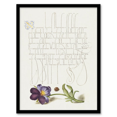 Artery8 Model Book Of Calligraphy Framed Wall Art Ladybird And Wild PansyA3 Size from B&Q
