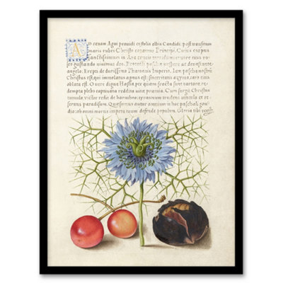 B&Q -  Model Book Of Calligraphy Framed Wall Art Love In A Mist And CherriesA3 Size