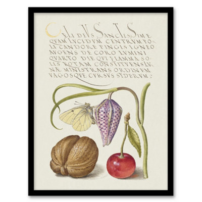 B&Q -  Model Book Of Calligraphy Framed Wall Art Snakeshead Walnut And CherryA3 Size