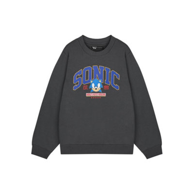 Vanilla Underground Sonic The Hedgehog Mens Grey World's Fastest Sweatshirt (Medium) from B&Q