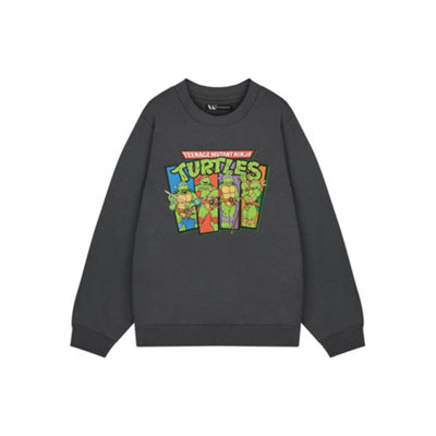 Vanilla Underground Teenage Mutant Ninja Turtles Mens Grey Retro Sweatshirt Sweatshirt (Xxx-Large) from B&Q