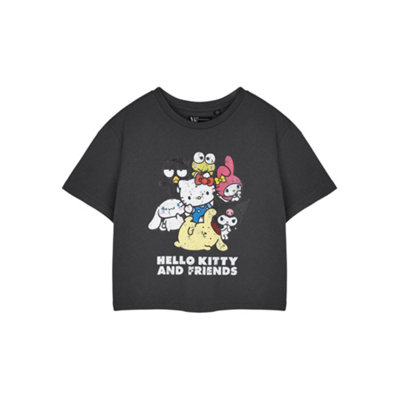 B&Q -  Hello Kitty Womens Grey Hello Kitty & Friends Cropped Short Sleeved T-Shirt (Large)