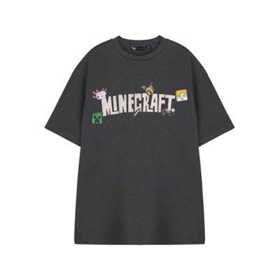 B&Q -  Minecraft Womens Grey Logo Short Sleeved T-Shirt (X-Large)