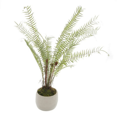 B&Q -  Boston Fern Artificial Plant Green/white (One Size)
