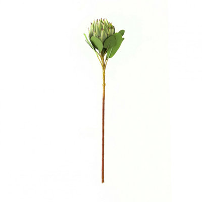 Hill Interiors Protea Protea Artificial Flower (One Size) Green