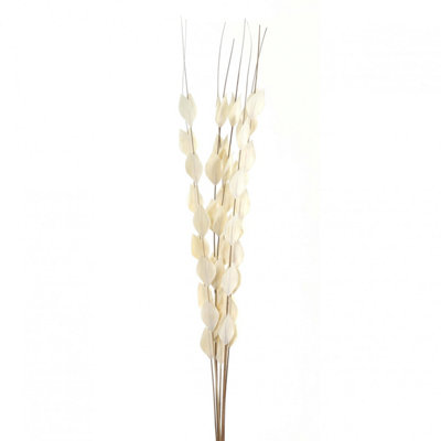 B&Q -  Bouquet Of Dried Thlaspi Arvense Artificial Flower White (One Size)