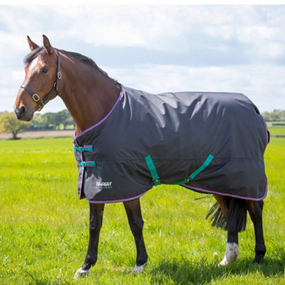 Tempest Original 300 Horse Turnout Rug Black (5 9") from B&Q