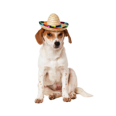 Bristol Novelty Sombrero Dog Costume Multicoloured (M-L) from B&Q