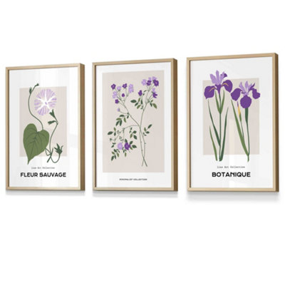 Set Of 3 Framed Vintage Graphical Flower Market Purple Lilac / 30X42Cm (A3) / Oak from B&Q