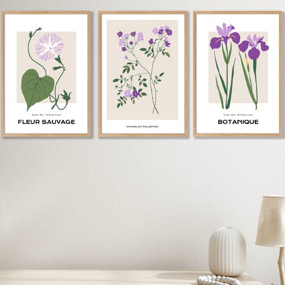 Set Of 3 Framed Vintage Graphical Flower Market Purple Lilac / 42X59Cm (A2) / Oak from B&Q