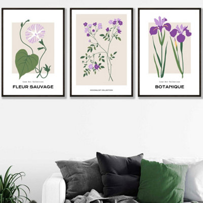 Set Of 3 Framed Vintage Graphical Flower Market Purple Lilac / 50X70Cm / Black from B&Q