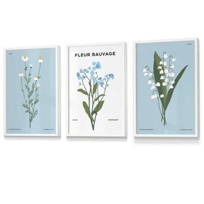 Set Of 3 Framed Vintage Graphical Blue Spring Wild Flower Market / 30X42Cm (A3) / White from B&Q