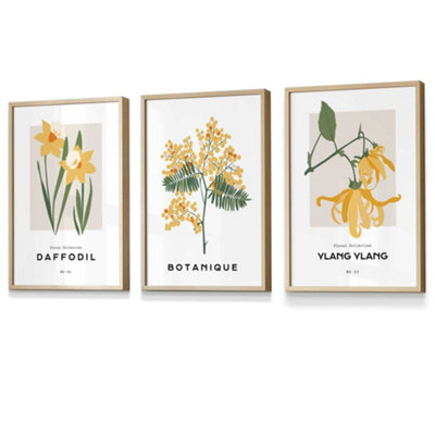 Set Of 3 Framed Vintage Graphical Yellow Spring Flower Market / 30X42Cm (A3) / Oak from B&Q