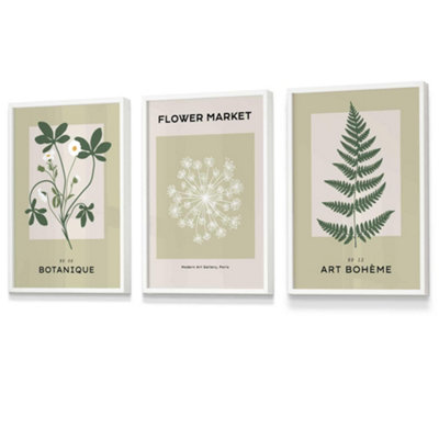 Set Of 3 Framed Vintage Graphical Green Botanical / 30X42Cm (A3) / White from B&Q