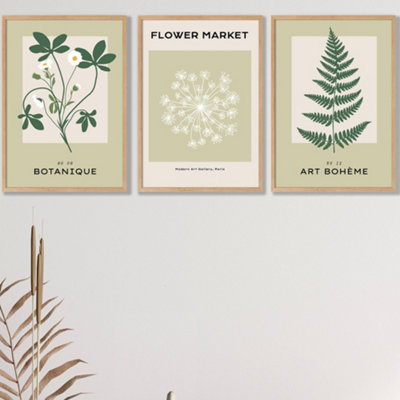 Set Of 3 Framed Vintage Graphical Green Botanical / 42X59Cm (A2) / Oak from B&Q