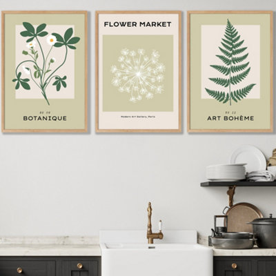 Set Of 3 Framed Vintage Graphical Green Botanical / 50X70Cm / Oak from B&Q
