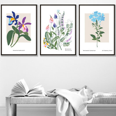 Set Of 3 Framed Vintage Graphical Colourful Wild Flower Market / 30X42Cm (A3) / Black from B&Q