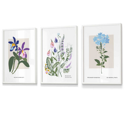Set Of 3 Framed Vintage Graphical Colourful Wild Flower Market / 30X42Cm (A3) / White from B&Q