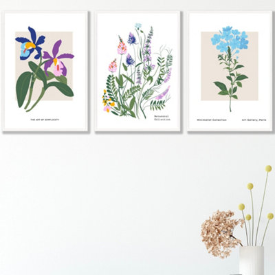 Set Of 3 Framed Vintage Graphical Colourful Wild Flower Market / 42X59Cm (A2) / White from B&Q