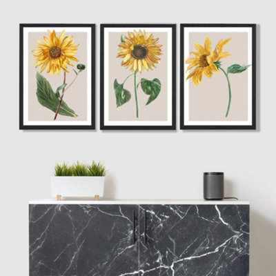 Artze Wall Art Vintage Sunflowers On Beige Set Of 3 Wall Art Prints With Black Frame. Size: A3 from B&Q