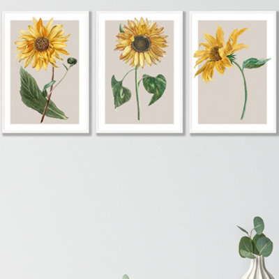 Artze Wall Art Vintage Sunflowers On Beige Set Of 3 Wall Art Prints With White Frame. Size: A3 from B&Q