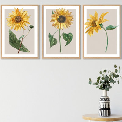 Artze Wall Art Vintage Sunflowers On Beige Set Of 3 Wall Art Prints With Oak Frame. Size: A3 from B&Q