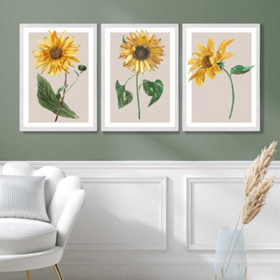 Artze Wall Art Vintage Sunflowers On Beige Set Of 3 Wall Art Prints With White Frame. Size: A2 from B&Q