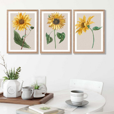 Artze Wall Art Vintage Sunflowers On Beige Set Of 3 Wall Art Prints With Oak Frame. Size: A2 from B&Q
