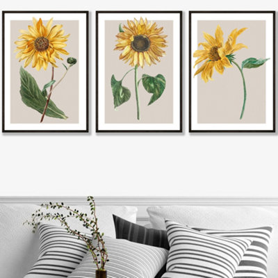 Artze Wall Art Vintage Sunflowers On Beige Set Of 3 Wall Art Prints With Black Frame. Size: 50X70Cm from B&Q