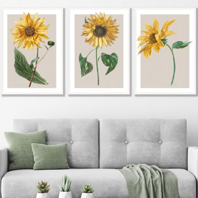 Artze Wall Art Vintage Sunflowers On Beige Set Of 3 Wall Art Prints With White Frame. Size: 50X70Cm from B&Q