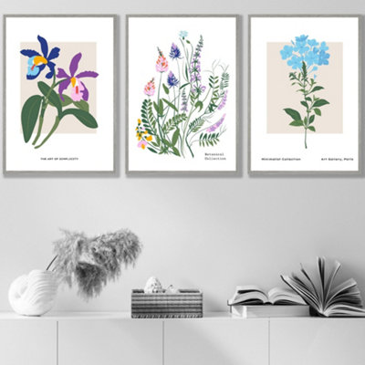 Set Of 3 Framed Vintage Graphical Colourful Wild Flower Market / 42X59Cm (A2) / Light Grey from B&Q