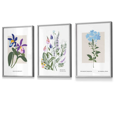 Set Of 3 Framed Vintage Graphical Colourful Wild Flower Market / 30X42Cm (A3) / Light Grey from B&Q