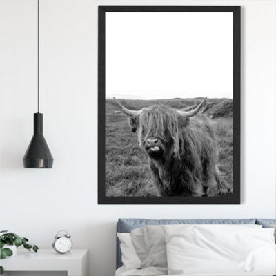 Artze Wall Art Cheeky Highland Cow Animal Black And White Photo Framed Print Size: A2 With Black Frame from B&Q