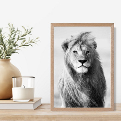Artze Wall Art Regal Lion Animal Black And White Photo Framed Print Size: A4 With Oak Frame