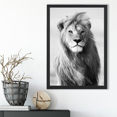 Artze Wall Art Regal Lion Animal Black And White Photo Framed Print Size: A3 With Black Frame
