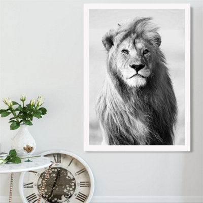 Artze Wall Art Regal Lion Animal Black And White Photo Framed Print Size: A2 With White Frame