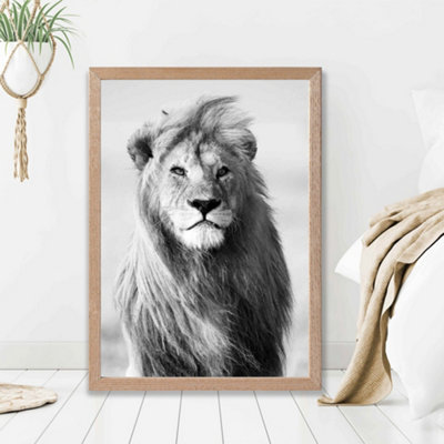 Artze Wall Art Regal Lion Animal Black And White Photo Framed Print Size: A2 With Oak Frame