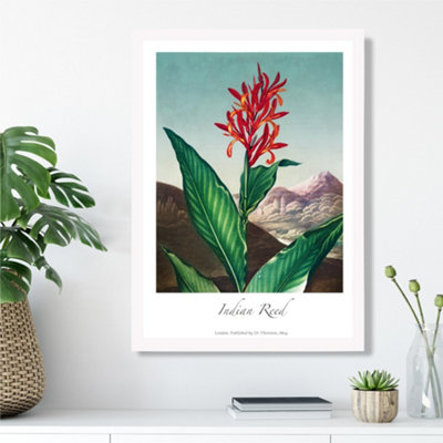 Artze Wall Art Vintage Floral Exhibition Indian Reed Framed Print Size: A3 With White Frame from B&Q