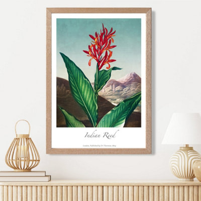 Artze Wall Art Vintage Floral Exhibition Indian Reed Framed Print Size: A3 With Oak Frame from B&Q