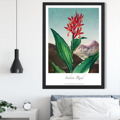 Artze Wall Art Vintage Floral Exhibition Indian Reed Framed Print Size: A2 With Black Frame from B&Q