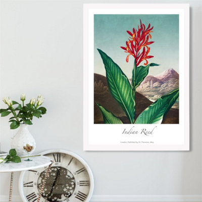 Artze Wall Art Vintage Floral Exhibition Indian Reed Framed Print Size: A2 With White Frame from B&Q