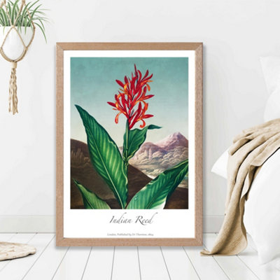 Artze Wall Art Vintage Floral Exhibition Indian Reed Framed Print Size: A2 With Oak Frame from B&Q