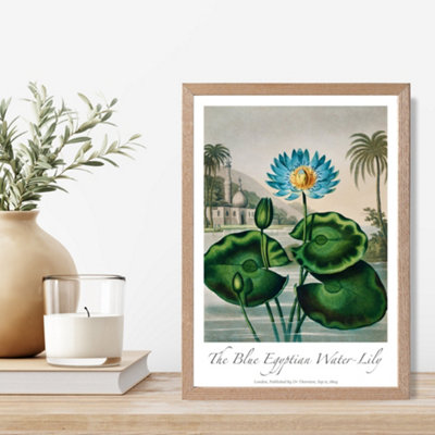 Artze Wall Art Vintage Floral Exhibition Egyptian Water Lily Framed Print Size: A4 With Oak Frame from B&Q